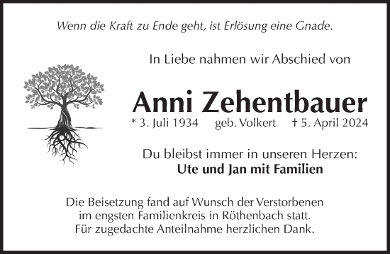 Traueranzeige von Anni Zehentbauer von Pegnitz-Zeitung